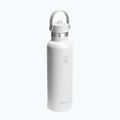Termo gertuvė Hydro Flask Standard Flex 621 ml white 2