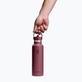 Termo gertuvė Hydro Flask Standard Flex 621 ml burgundy 3