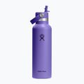 Termo gertuvė Hydro Flask Standard Flex 621 ml utopia purple
