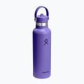Termo gertuvė Hydro Flask Standard Flex 621 ml utopia purple 2