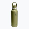 Termo gertuvė Hydro Flask Standard Flex 621 ml palmer green 2