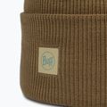 Žieminė kepurė BUFF Crossknit ginkgo 2