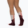 Kojinės BUFF Midweight Crew wine 5