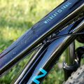 Marin Wildcat Trail 1 27.5 blizgus bordo/juoda/juodos spalvos moteriškas kalnų dviratis 4