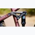 Kalnų dviratis Marin Alpine Trail 1 29/27,5 gloss brown/blue/light blue 6