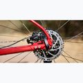 Kalnų dviratis Marin Bobcat Trail 3 29 gloss charcoal/red/black 6