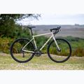 Žvyro dviratis Marin Nicasio 1 700C bone grey 3