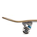 Klasikinė riedlentė Tricks Rose Complete TRCO0022A004 5