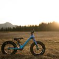 Orbea MX 12 krosinis dviratis mėlynas M00112I1 7