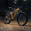 Orbea kalnų dviratis Laufey H30 2023 gold N24917LX 7