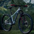 Orbea vaikiškas dviratis Laufey 24 H20 pilkas 2023 N01624I9 6