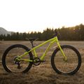 Vaikiškas dviratis Orbea MX20 Team yellow M00520I6 6