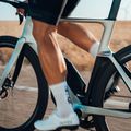 Plento dviratis Orbea Orca Aero M20 LTD silver/green 5