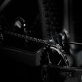 Orbea Oiz M-Pro kalnų dviratis pilkos spalvos M23919LI 7