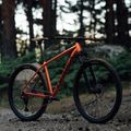 Orbea Onna 29 50 kalnų dviratis raudonas M20721NA 11