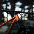 Orbea Onna 29 50 kalnų dviratis raudonas M20721NA 12