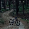 Orbea Onna 29 50 mėlynas/baltas kalnų dviratis M20717NB 8