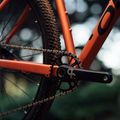 Orbea Onna 29 50 kalnų dviratis raudonas M20721NA 13
