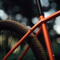 Orbea Onna 29 50 kalnų dviratis raudonas M20721NA 14