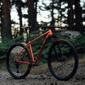 Orbea Onna 29 40 kalnų dviratis raudonas M20817NA 14