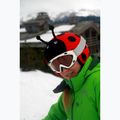 COOLCASC Ladybird šalmo perdanga raudona 001 8