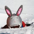 COOLCASC Bunny šalmo uždanga pilka 003 4