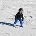 COOLCASC Teddy Bear šalmo uždanga ruda 6 6