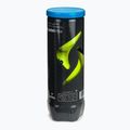 Padelio kamuoliai Siux Neo Speed Box 72 pack Blue 3
