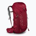 Vyriška žygio kuprinė Osprey Talon 36 l (S-M) cosmic red