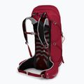 Vyriška žygio kuprinė Osprey Talon 36 l (S-M) cosmic red 2