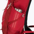 Vyriška žygio kuprinė Osprey Talon 36 l (S-M) cosmic red 4