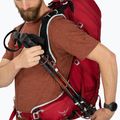 Vyriška žygio kuprinė Osprey Talon 36 l (S-M) cosmic red 8