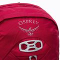 Vyriška turistinė kuprinė Osprey Talon 22 l red 10002710 3