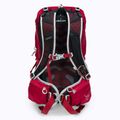 Vyriška turistinė kuprinė Osprey Talon 22 l red 10002710 4