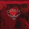Dviračio rankinė ant juosmens Osprey Seral 7 l su gertuve 1.5 l res claret red 4