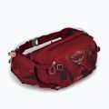 Dviračio rankinė ant juosmens Osprey Seral 7 l su gertuve 1.5 l res claret red 10