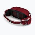 Dviračio rankinė ant juosmens Osprey Seral 7 l su gertuve 1.5 l res claret red 11