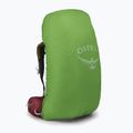 Moteriška žygio kuprinė Osprey Aura AG 65 l M-L berry sorbet red 5