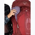 Moteriška žygio kuprinė Osprey Aura AG 65 l M-L berry sorbet red 10