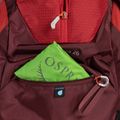 Osprey Stratos 26 l turistinė kuprinė raudona 10004053 6