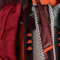 Osprey Stratos 26 l turistinė kuprinė raudona 10004053 7
