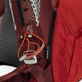 Osprey Stratos 26 l turistinė kuprinė raudona 10004053 8
