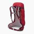 Osprey Stratos 26 l turistinė kuprinė raudona 10004053 13