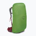 Osprey Stratos 26 l turistinė kuprinė raudona 10004053 14