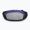 Rankinė ant juosmens Osprey Daylite Waist medium grey/dark charcoal 3