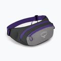 Rankinė ant juosmens Osprey Daylite Waist medium grey/dark charcoal 8
