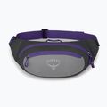 Rankinė ant juosmens Osprey Daylite Waist medium grey/dark charcoal 9