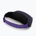 Rankinė ant juosmens Osprey Daylite Waist medium grey/dark charcoal 10