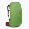 Osprey Stratos 44 l turistinė kuprinė raudona 10004264 8