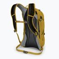 Vyriška dviračių kuprinė Osprey Syncro 12 l primavera yellow 3